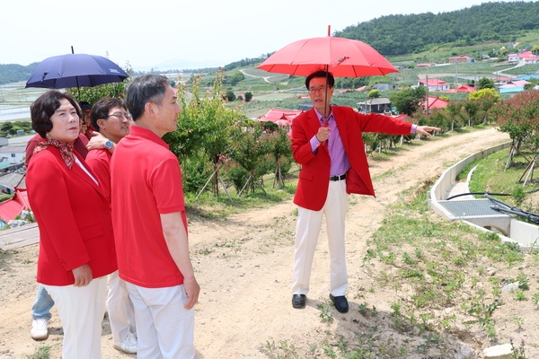 2024.05.25_임자면 이흑암리 조희룡적거지 홍매화 식재 현장점검 2