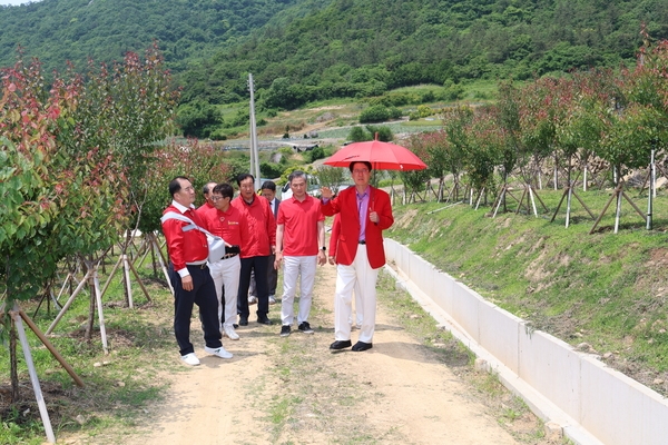 2024.05.25_임자면 이흑암리 조희룡적거지 홍매화 식재 현장점검 1