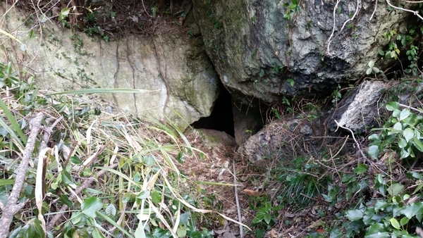 풍혈(風穴)동굴 추정, 동굴 발견 2