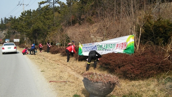 「임자 주민자치위원회」도로변 수목가꾸기 봉사활동 2