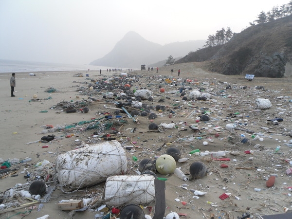 신안군, 해양쓰레기 제로화로 해양환경보전 기대 1