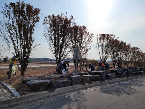 “신안군 전역 총 12만주 수목 비료 시비” 2