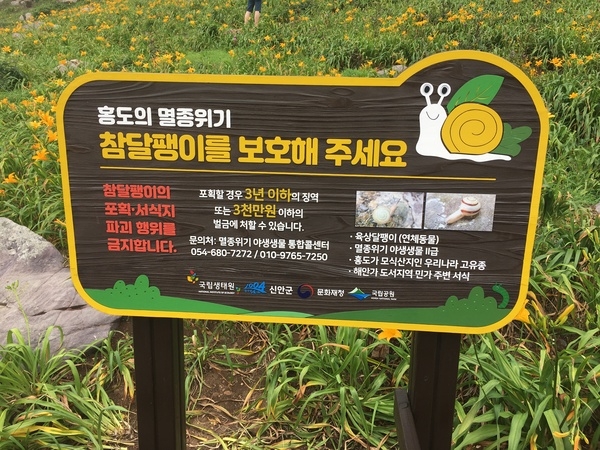 신안 홍도, 인공증식 멸종위기 참달팽이 최초 방사..