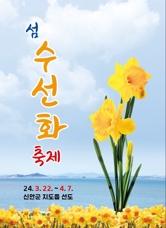 ‘2024 섬 수선화 축제’ 다가오는 2백만 송이의 봄꽃 향연 1