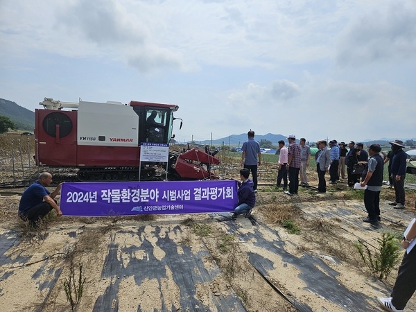 신안군, 참깨 콤바인 수확으로 일손 부족 문제 해결에 앞장..