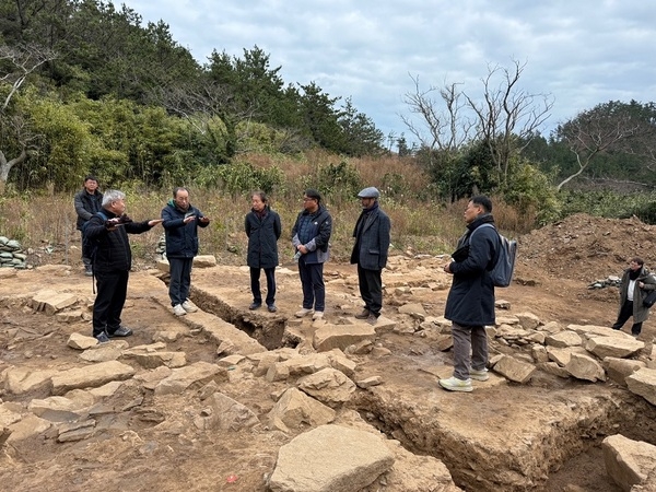 수백 년 당산나무 뿌리 속의 무심사지 확인..'흑산도 무심사지 발굴조사 현장자문위원회 개최' 4