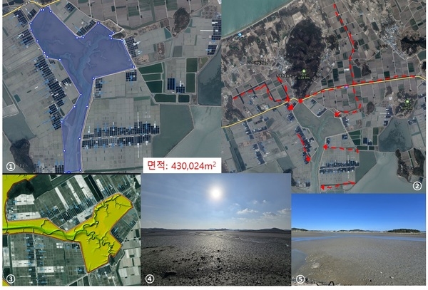 신안군, 독특한 경지정리지구 용수로가 전국에서 유일한 맹그로브 적응 가능 갯벌 환경을 만들다..'비금도·자은도·임자도 등 다수 지역 확인… 탄소중립·생태보전·군민 소득 창출 기대' 2