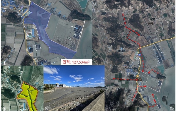 신안군, 독특한 경지정리지구 용수로가 전국에서 유일한 맹그로브 적응 가능 갯벌 환경을 만들다..'비금도·자은도·임자도 등 다수 지역 확인… 탄소중립·생태보전·군민 소득 창출 기대' 1