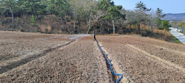 겨울 수목 보호를 위한 물주기 작업 시행 1